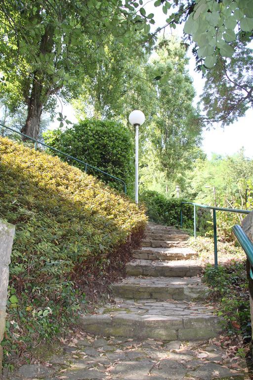 Les Hauts De Perrache Acomodação com café da manhã Sainte-Foy-lès-Lyon Exterior foto