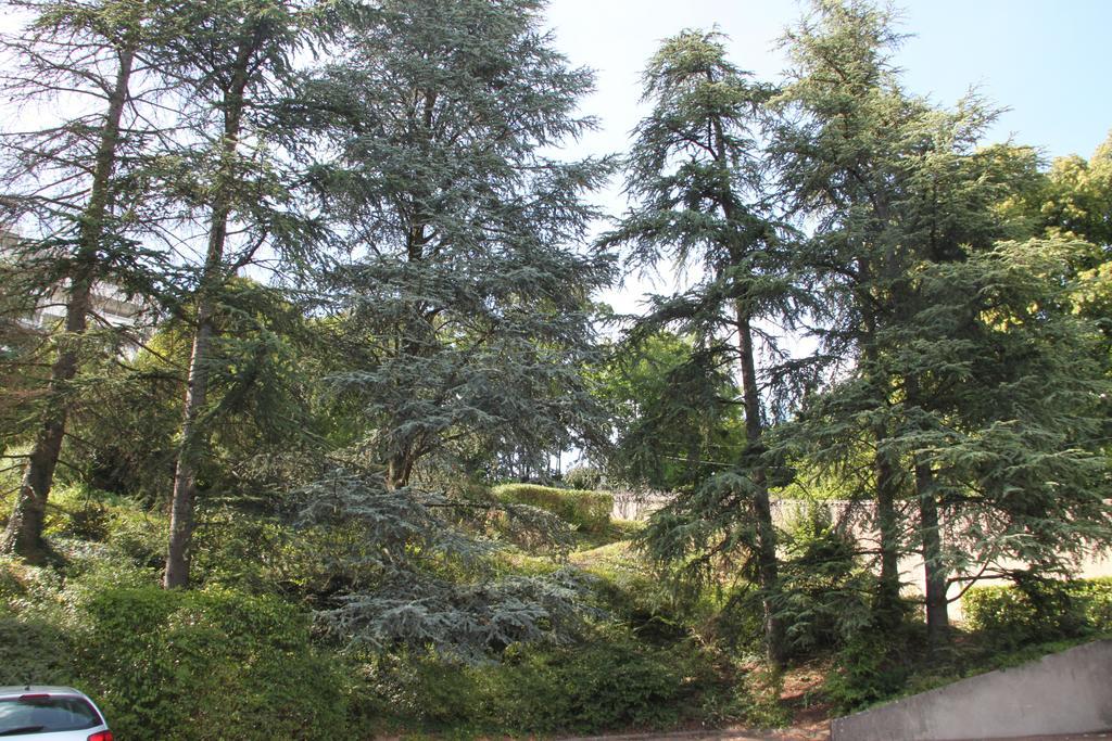 Les Hauts De Perrache Acomodação com café da manhã Sainte-Foy-lès-Lyon Exterior foto